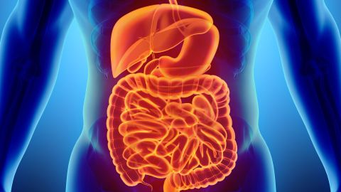 The microbiome resides in your gut, primarily the large intestine.