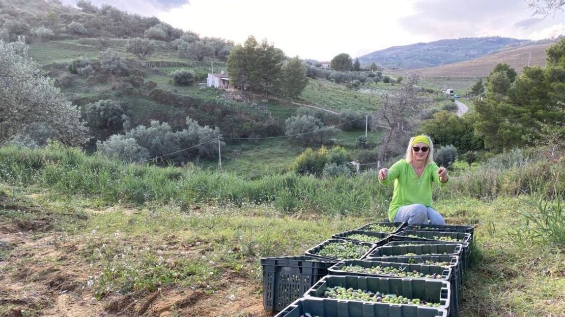 Stubbs helping with the olive harvest on Wolferstan's farm.