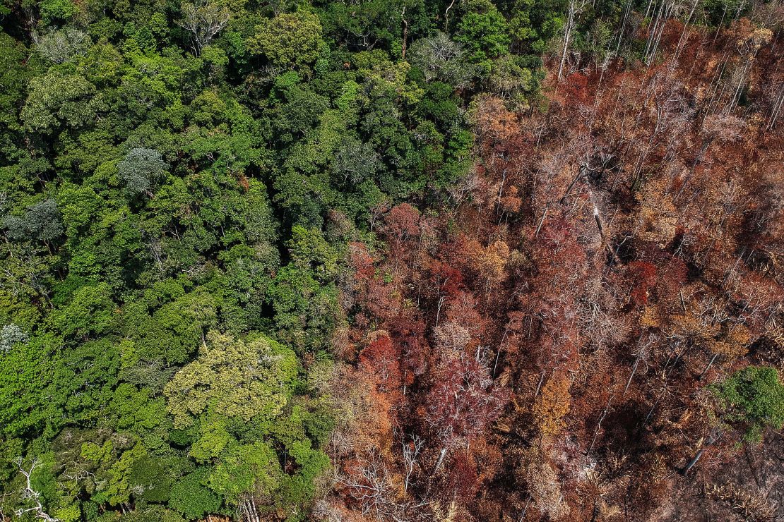 Burnt areas near Moraes Almeida in Brazil's Pará state are shown in September 2019. Experts say there is a strong link between deforestation and fires in the Amazon rainforest.