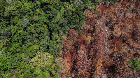 Burnt areas near Moraes Almeida in Brazil's Pará state are shown in September 2019. Experts say there is a strong link between deforestation and fires in the Amazon rainforest.