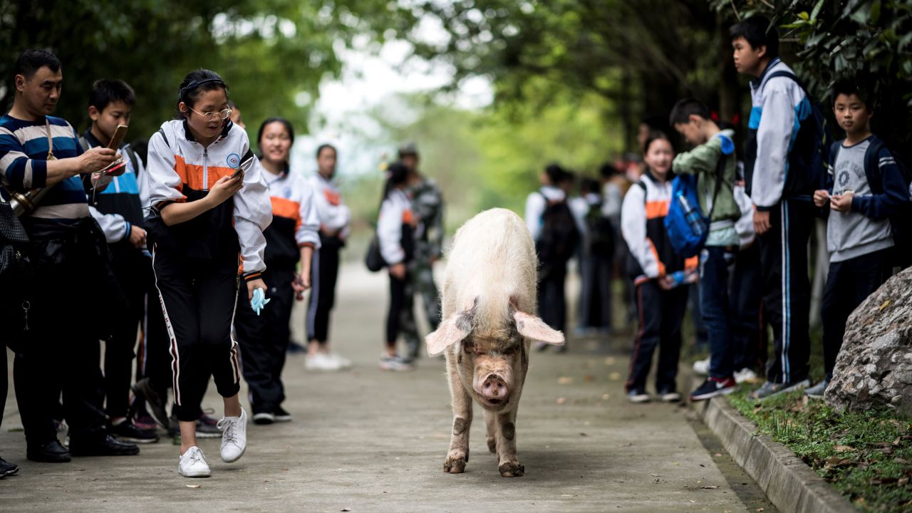 Zhu Jianqing walks with school children during a commemoration ceremony on April 25, 2018. 