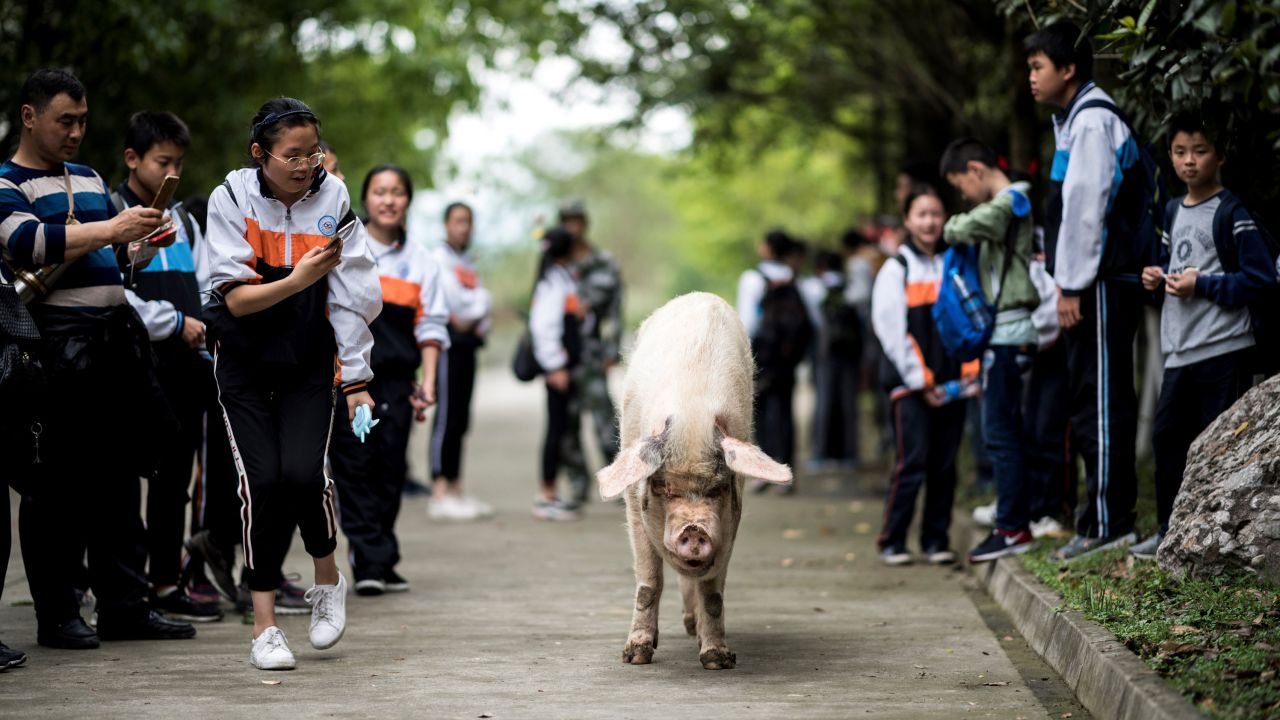 Zhu Jianqing walks with school children during a commemoration ceremony on April 25, 2018.