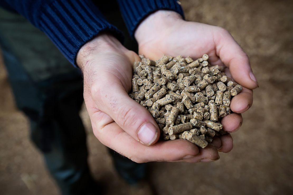 The supplement comes in the form of pellets that are mixed into the cow's feed twice a day.