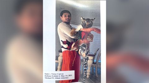 Cuevas' attorney provided photos of Cuevas and the missing tiger