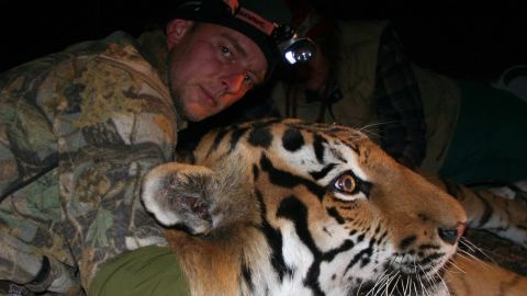 john goodrich tiger