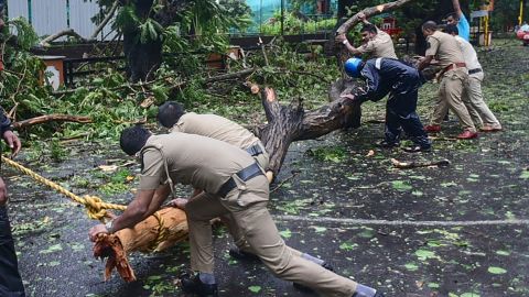 Police clear fallen trees from a road following heavy rains and strong winds brought by Cyclone Tauktae, at Panjim, Goa on May 16.