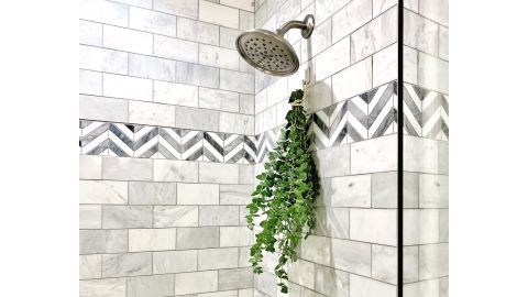 Eucalyptus Blooms Fresh Shower Eucalyptus Bundle