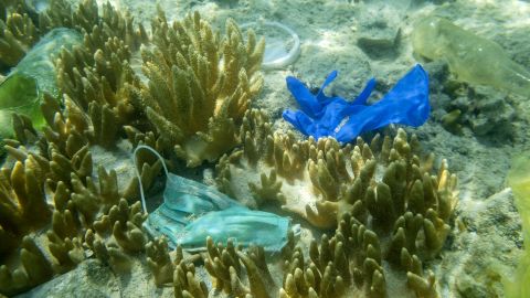 Face masks and plastic debris are seen on the bottom of the Red Sea in October.