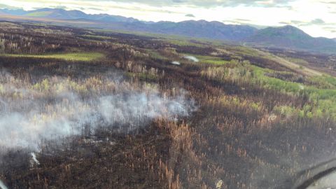 This zombie fire that burned through the Arctic winter from 2019 into 2020 was originally a part of the Swan Lake Fire, which burned more than 100,000 acres in Alaska's Kenai National Wildlife Refuge Wilderness.