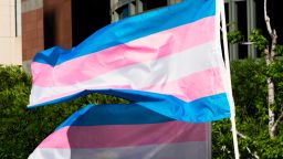 Trans pride flags flutter in the wind at a gathering to celebrate  International Transgender Day of Visibility, March 31, 2017 at the Edward R. Roybal Federal Building in Los Angeles, California. International Transgender Day of Visibility is dedicated to celebrating transgender people and raising awareness of discrimination faced by transgender people worldwide. / AFP PHOTO / Robyn Beck        (Photo credit should read ROBYN BECK/AFP via Getty Images)