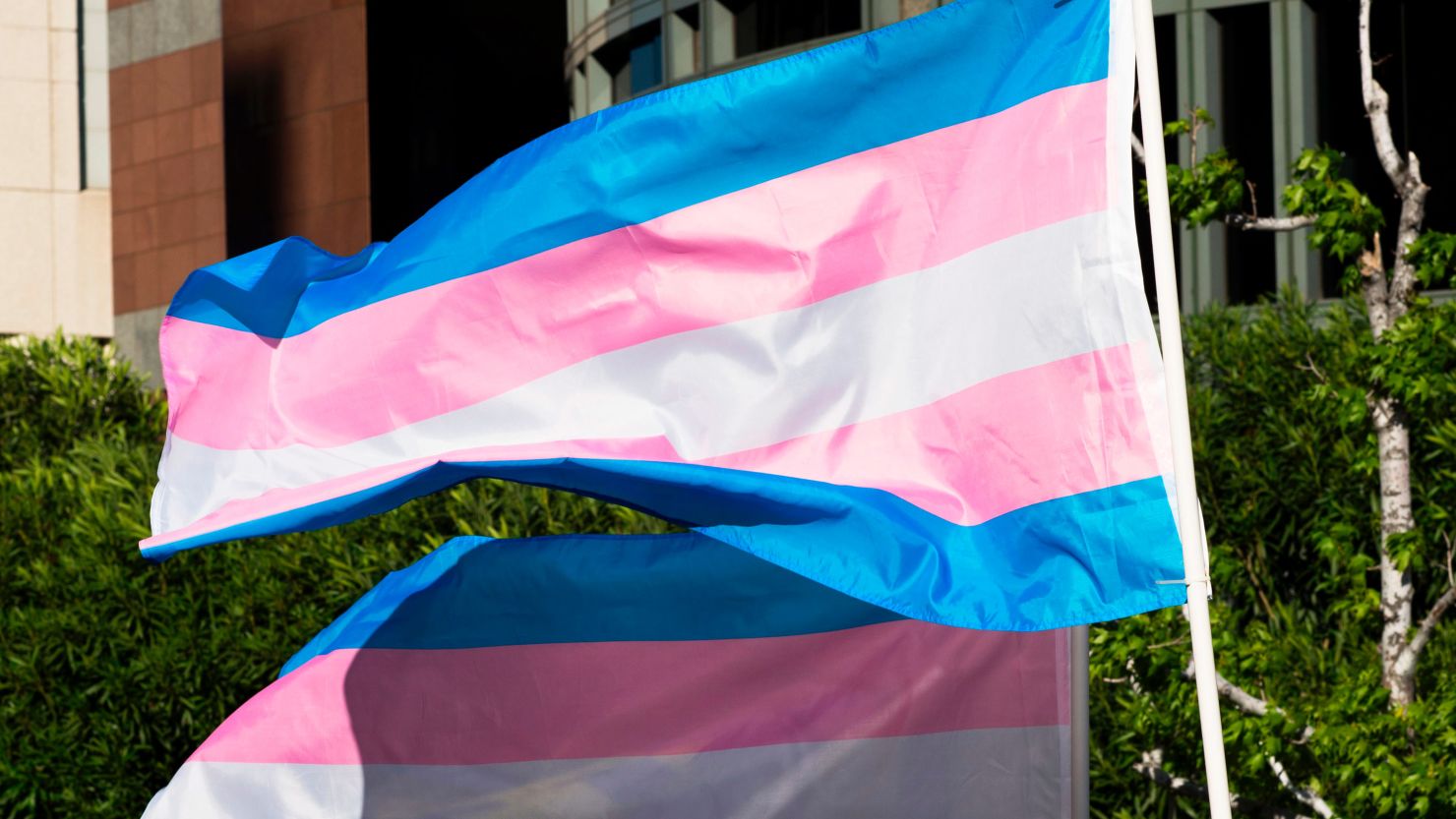 transgender flag FILE