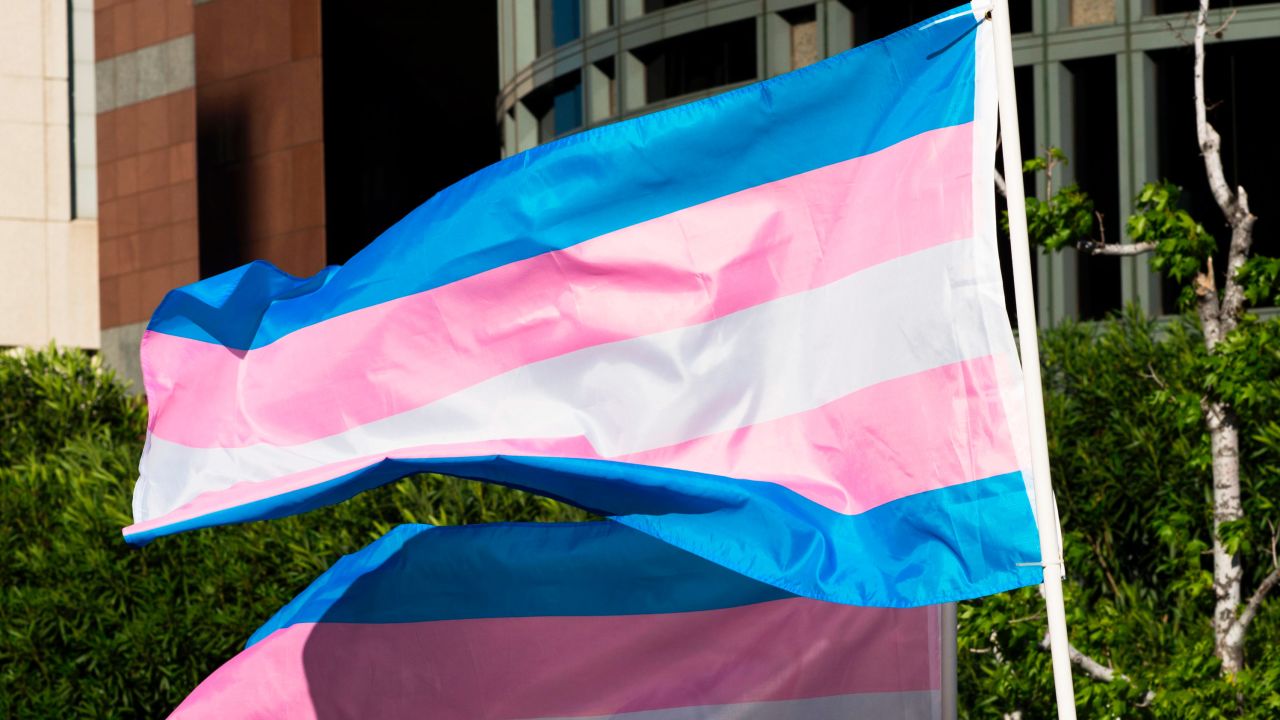 In this March 31, 2017, file photo, trans pride flags flutter in the wind at a gathering to celebrate International Transgender Day of Visibility, at the Edward R. Roybal Federal Building in Los Angeles.