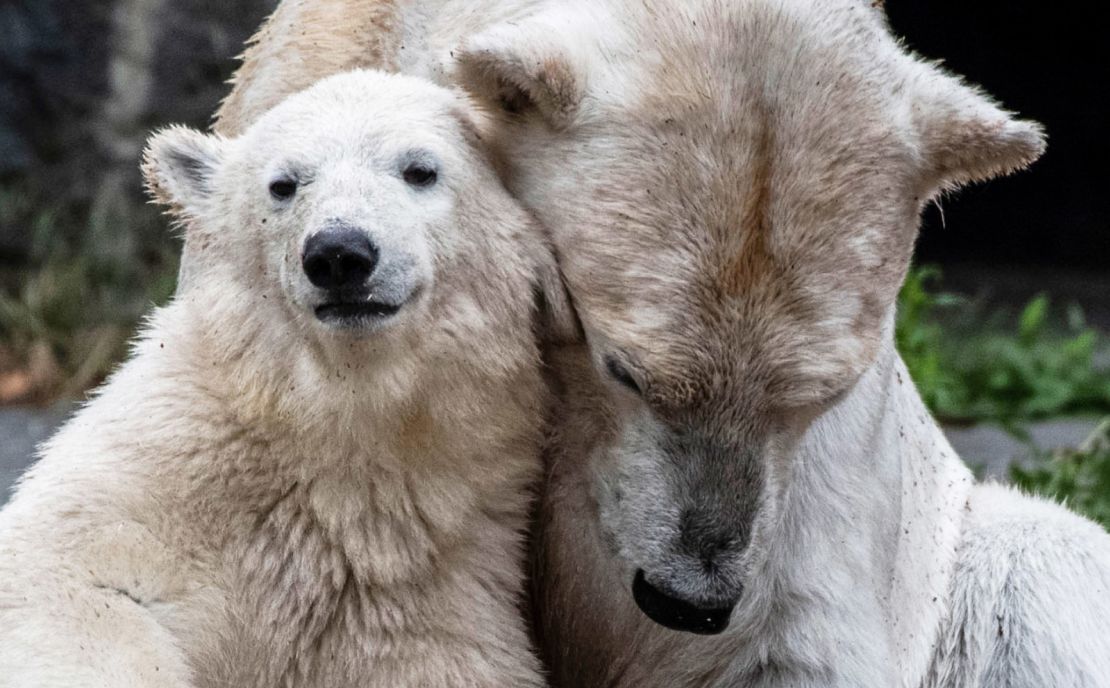 Hertha (L) with mother Tonja in June 2019.