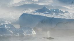 ILULISSAT, GREENLAND - AUGUST 03: Whales swim among icebergs jammed into the Ilulissat Icefjord during a week of unseasonably warm weather on August 3, 2019 near Ilulissat, Greenland. The Sahara heat wave that recently sent temperatures to record levels in parts of Europe also reached Greenland earlier this week. Climate change is having a profound effect in Greenland, where over the last several decades summers have become longer and the rate that glaciers and the Greenland ice cap are retreating has accelerated.   (Photo by Sean Gallup/Getty Images)