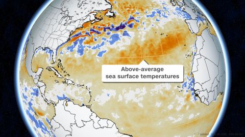 Sea surface temperatures: Blue areas indicate cooler than normal temperatures. Yellow-Orange areas indicates warmer than normal temperatures.