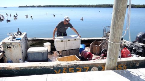 The man shown in the photo with the cooler in the boat is Jacob Reeder. The photo was taken in Cortez, at the AP Bell Fish Co. boat docks. That's the company that Karen Bell owns.