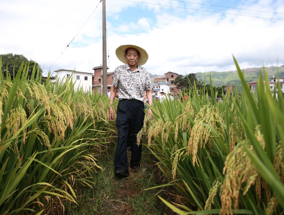 Chinese agronomist Yuan Longping, who cultivated the world's first high-yield hybrid rice strain in the 1970s, died on Saturday.