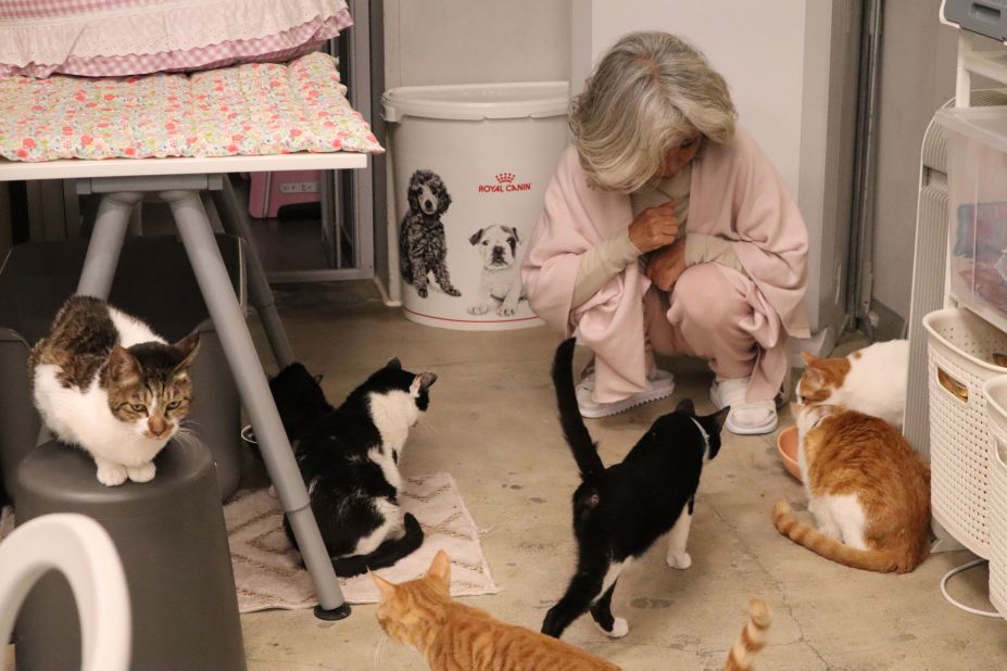 <strong>Becoming a butler: </strong>Kim Eun-hee, RAY's founder is looking after the cats at the rescue cat shelter. In Korea, cat owners are nicknamed "butlers."