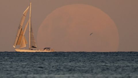 A yacht sails past the rising moon in Sydney on Wednesday, May 26.