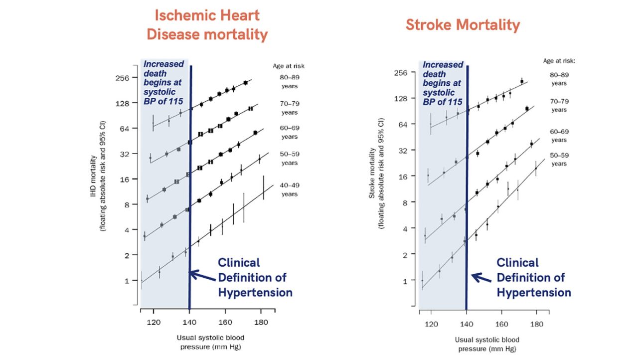 Adapted from "Age-specific relevance of usual blood pressure to vascular mortality: a meta-analysis of individual data for one million adults in 61 prospective studies" in The Lancet.