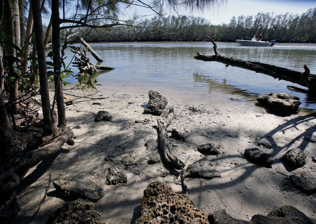 The Indian River Lagoon, pictured here in 2017, is in extreme environmental distress, and it's impacting the lives of hundresds of manatees that live there. 