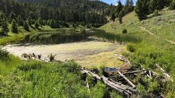 Large beaver pond along the trail