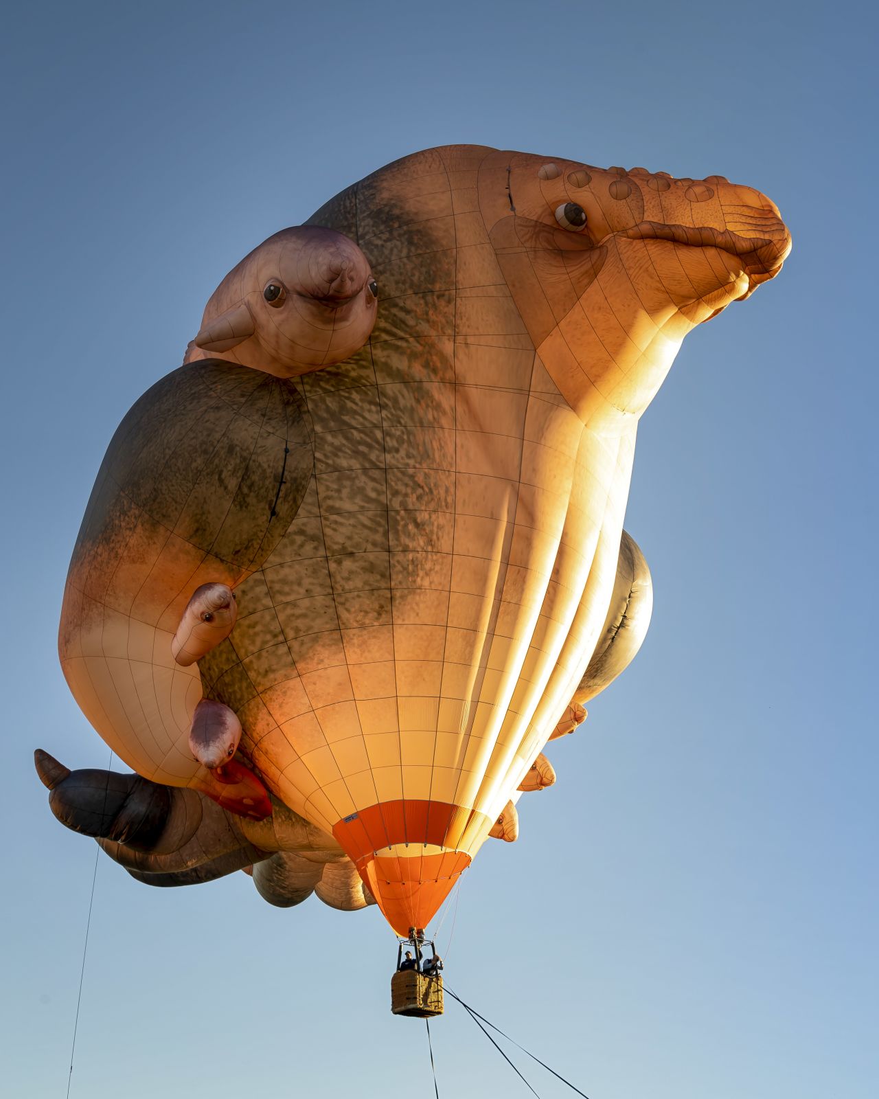 The family of balloons are an homage to fatherhood.