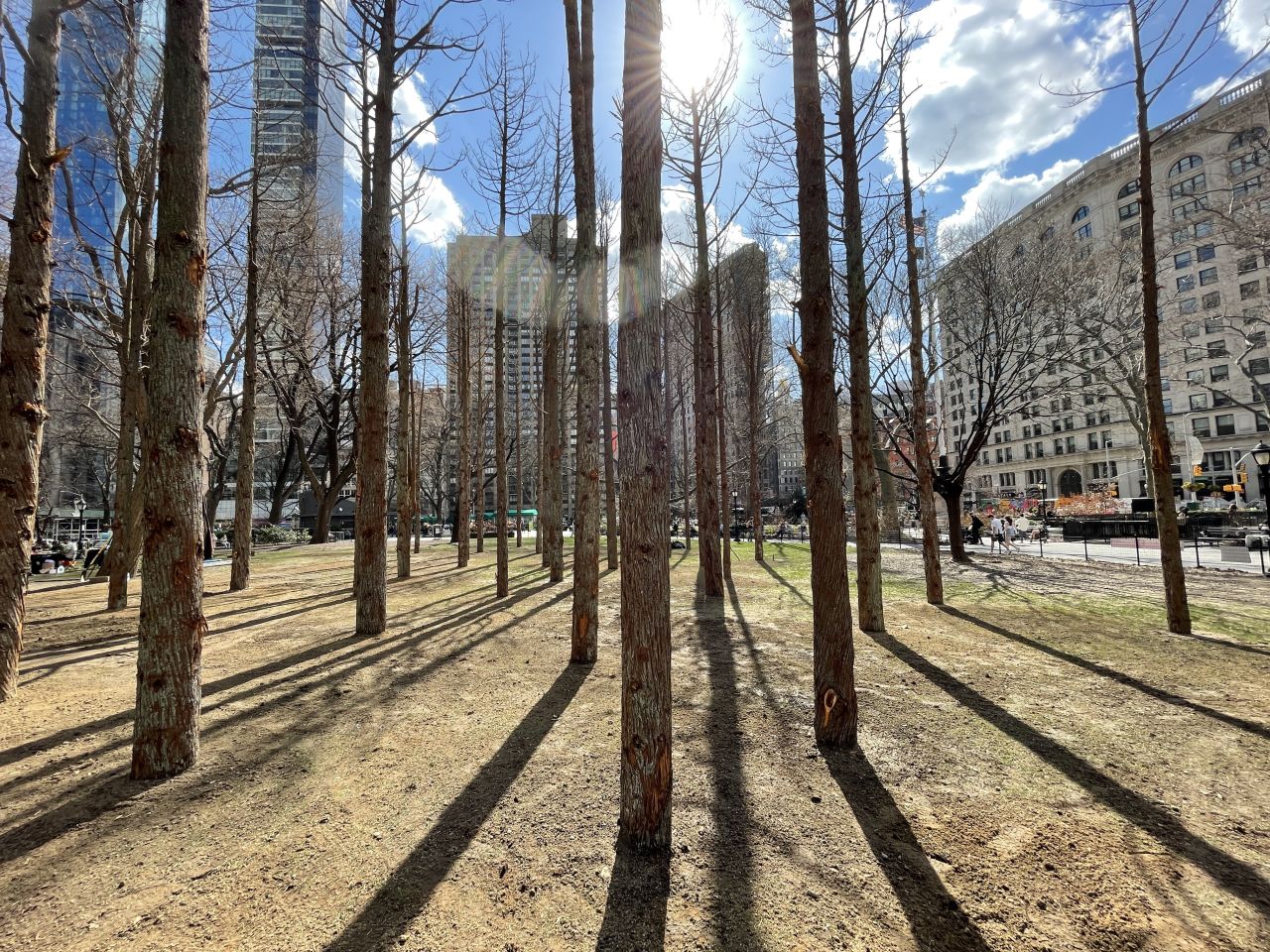 Maya Lin's graveyard of trees encourages passersby to consider Earth's dwindling forests.