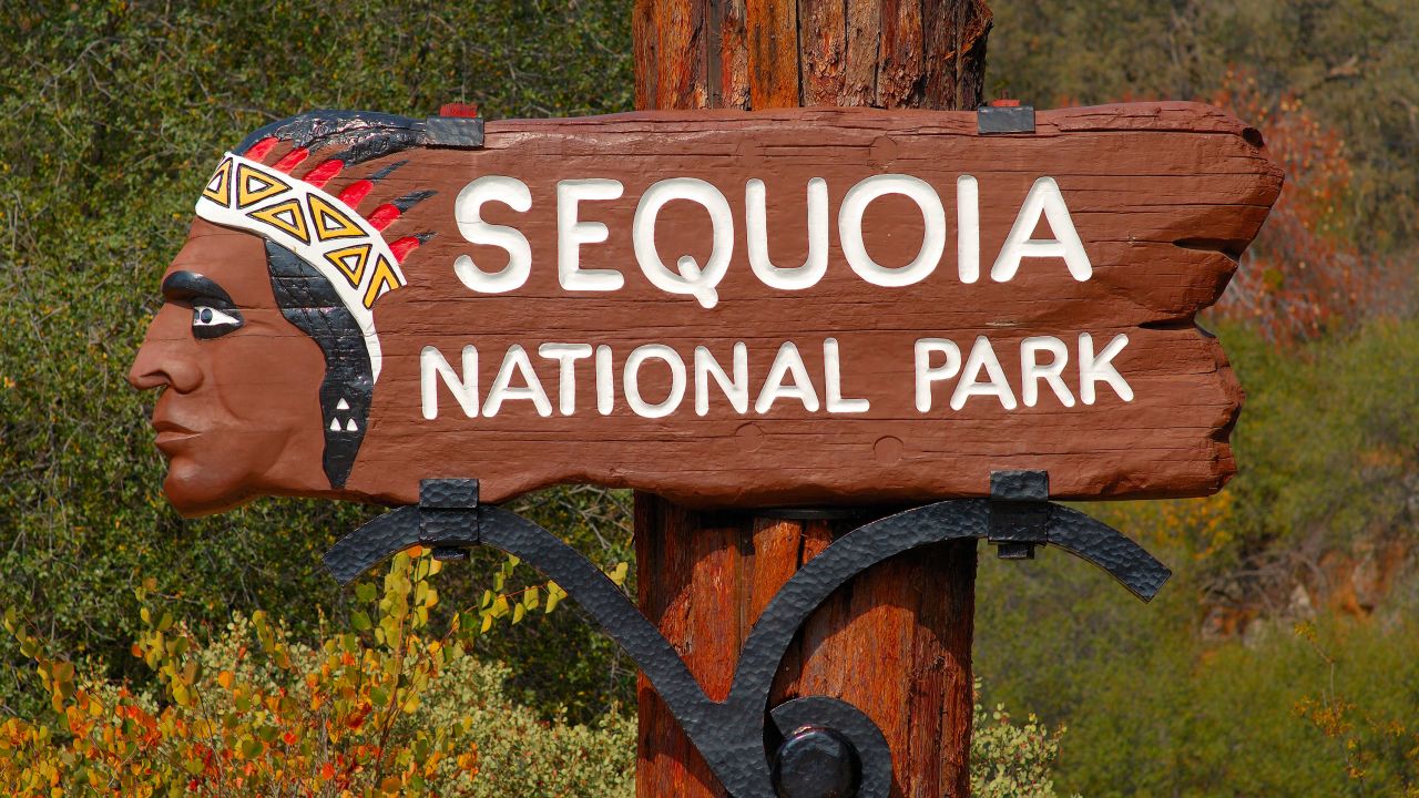 Sequoia and Kings Canyon National Parks are located in the southern Sierra Nevadas in California.