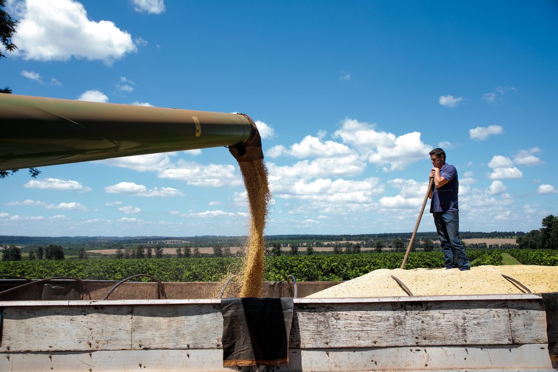A farmer watches as soybeans are unloaded into a truck during a harvest in Santa Cruz do Rio Pardo, Sao Paulo state, Brazil.