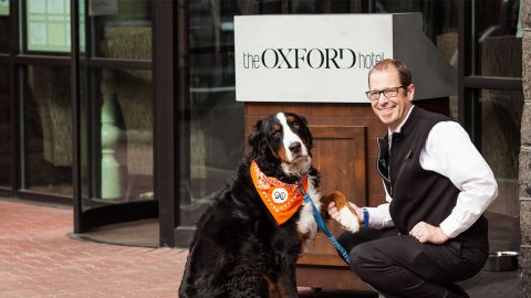 Dogs that stay at the Oxford Hotel get a dog bed, two travel dog bowls and more.