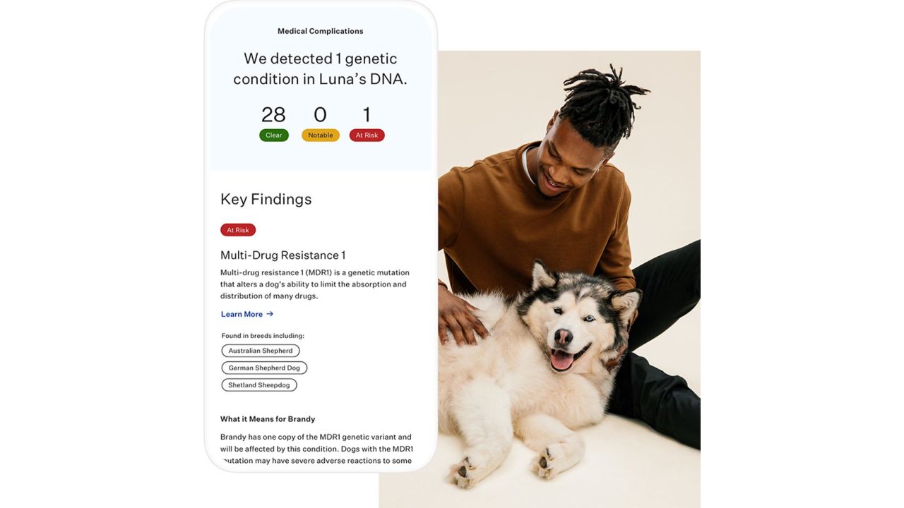 Wisdom Panel Essential Dog DNA Kit