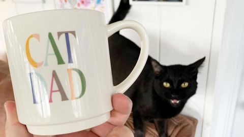 Stoneware Cat Dad Mug