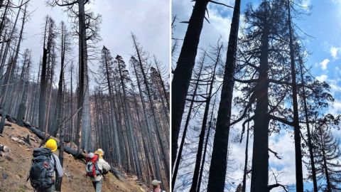 Photos from the National Park Service show the impact of the fires.