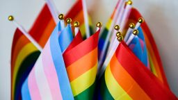 RESTRICTED LGBTQ pride flags