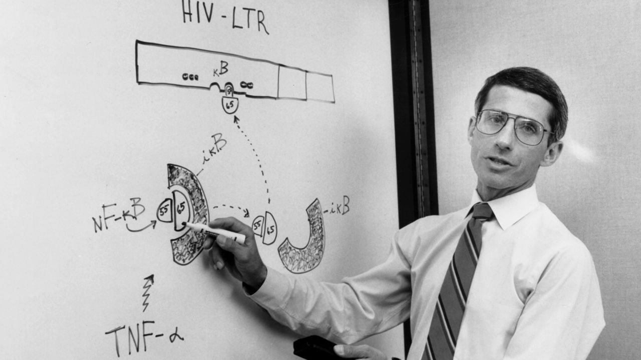 Dr. Anthony Fauci, director of the National Institute of Allergy and Infectious Diseases, talks to his team about HIV/AIDS during a meeting in 1990.