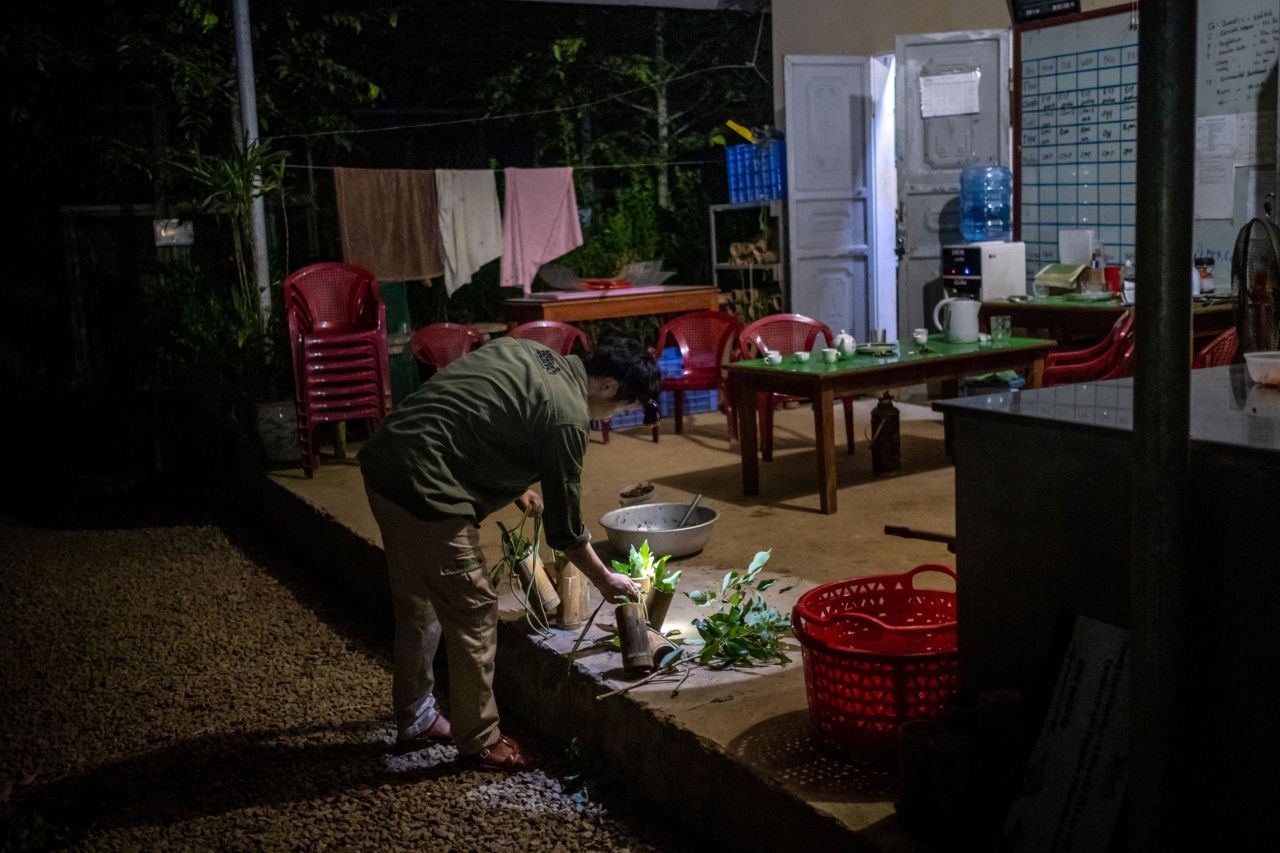 Save Vietnam's Wildlife rehabilitates the pangolins it rescues. The keepers monitor the animals through the night, preparing a specialized diet of frozen ant eggs and live ants and termites.