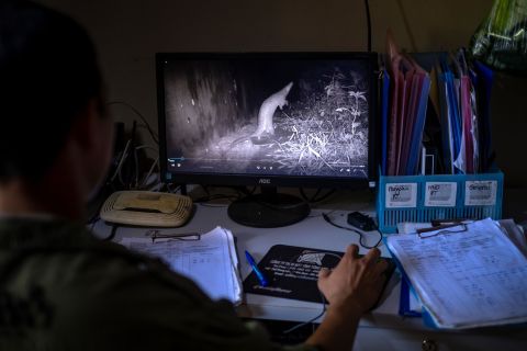 Save Vietnam's Wildlife continues to monitor the animals once they are released. Their activity is observed using radio tagging and drone tracking.