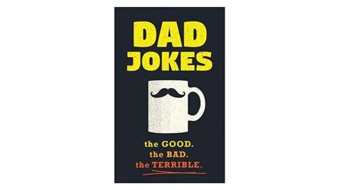 'Dad Jokes: Over 600 of the Best (Worst) Dad Jokes Around' by Jimmy Niro