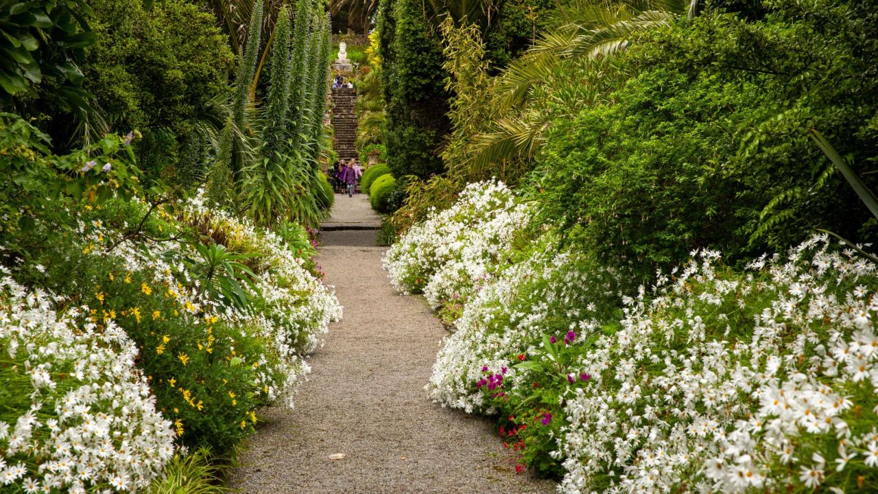 <strong>Abbey Gardens: </strong>Tresco island is home to Abbey Gardens, where over 3,500 different plant species from all five of the world's Mediterranean climate regions grow.