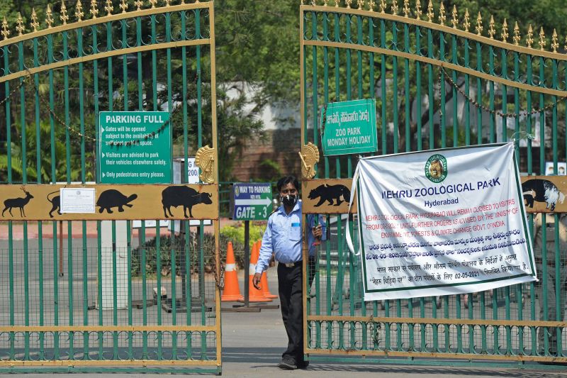 India closes all tiger reserves after Covid outbreaks in zoos CNN