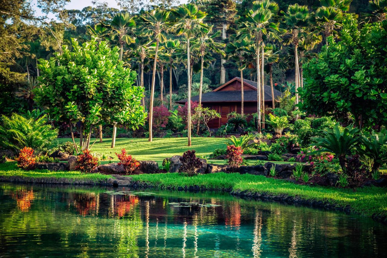 Private spa cottages are scattered among lush foliage at Sensei Lanai.