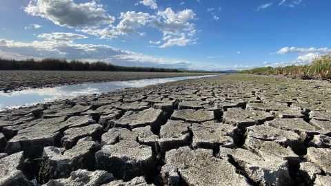How drought is playing out in Tule Lake National Wildlife Refuge in Northern California.