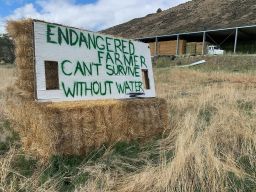 A sign in Tulelake, California, that says "Endangered farmer can't survive without water."
