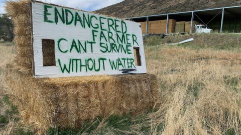 A sign in Tulelake, California, that says "Endangered farmer can't survive without water."