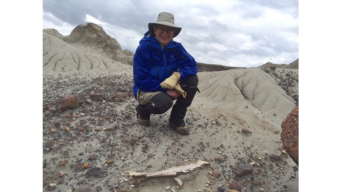 Conrad explored Dinosaur Provincial Park in Alberta, Canada.