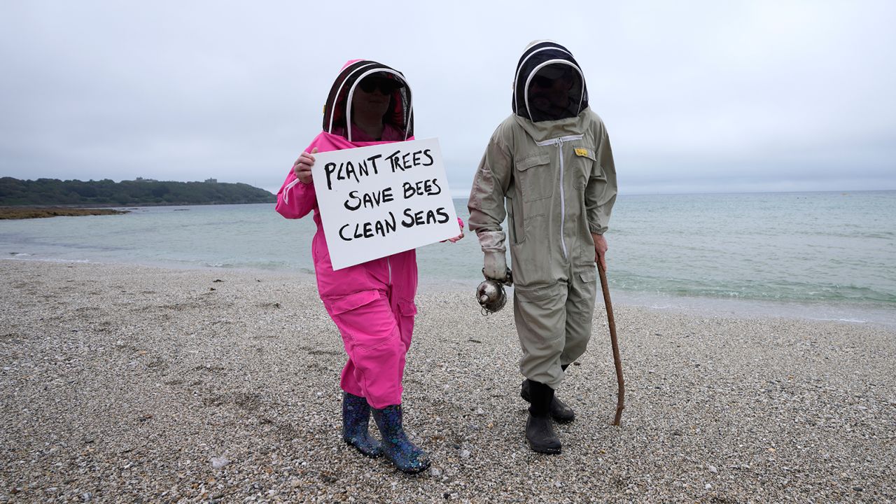 Climate activists Delores and Leroy Tycklemore wear bee keeping suits in a protest in Falmouth, England, on Friday, June 11.