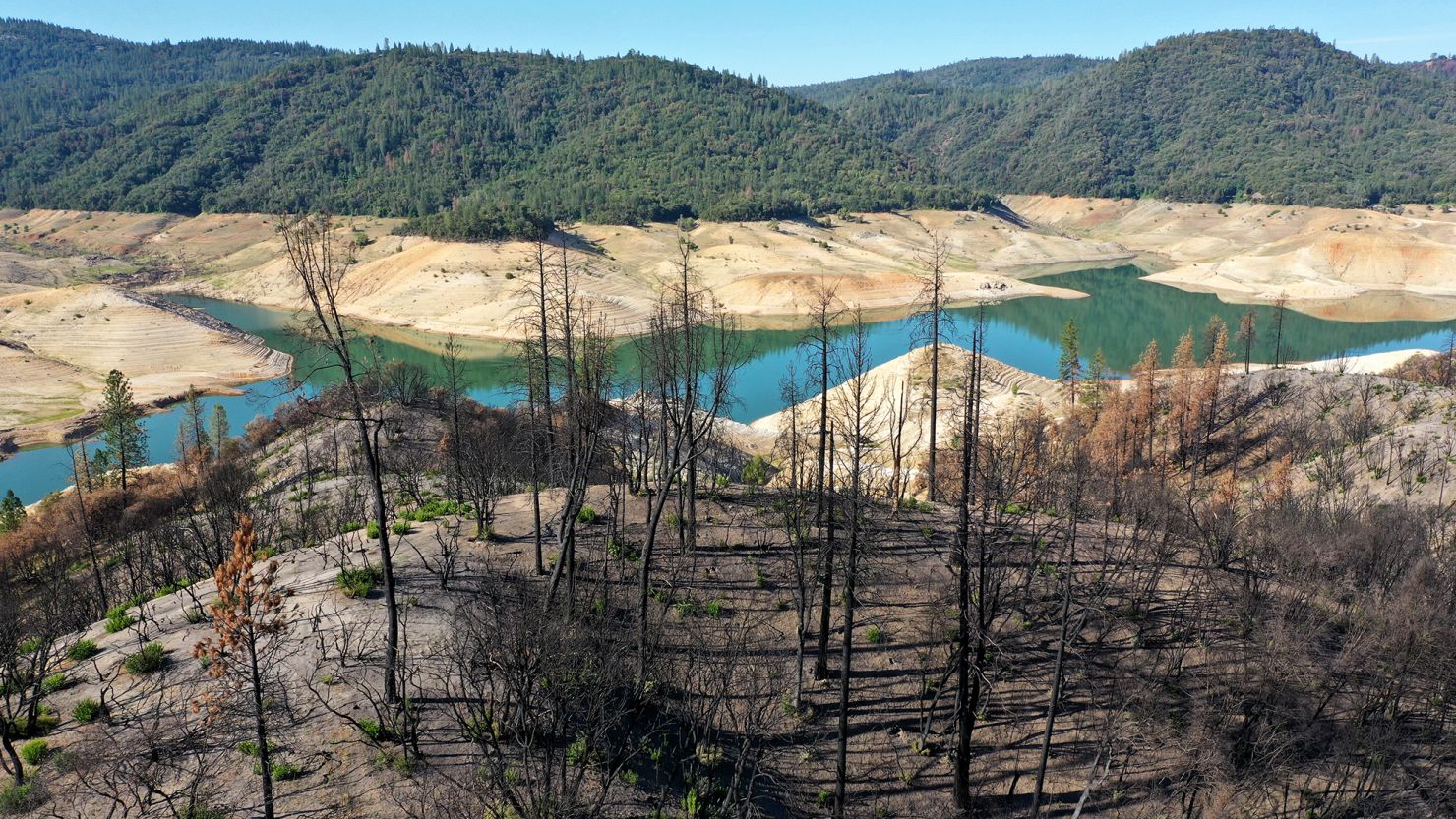 Trees burned by a recent wildfire line the steep banks of Lake Oroville on June 1, 2021 in California. As severe drought takes hold across the Western US, the risk of water shortages and dangerous wildfires is growing.