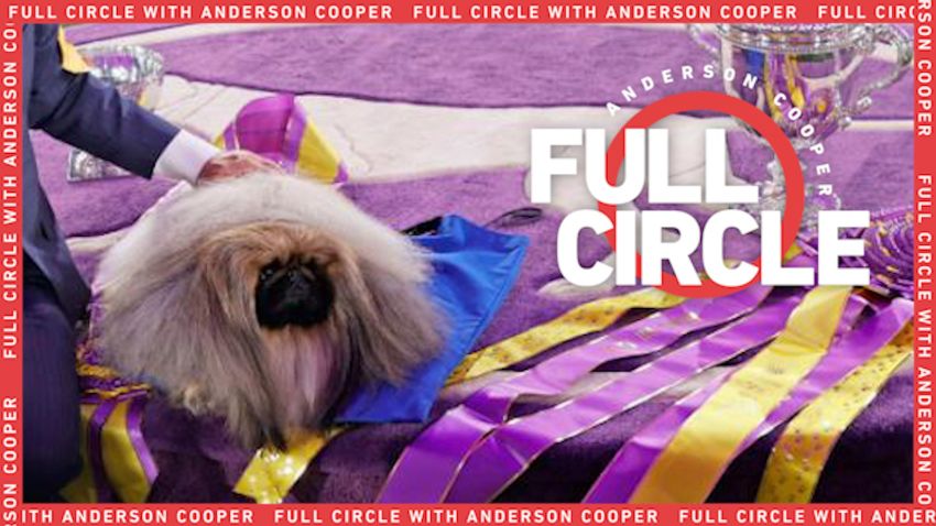 DESKTOP 01 ACFC Wasabi Westminster Dog Show