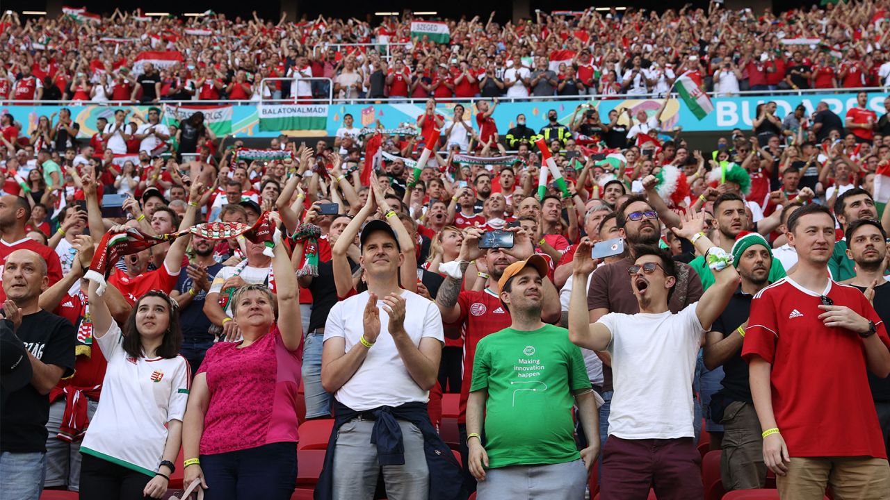 Supporters cheer during the match between Hungary and Portugal.